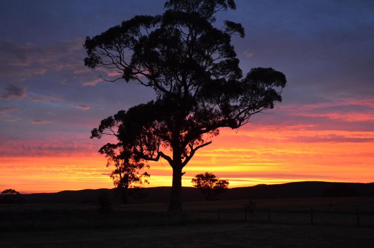 Bed and Breakfast Rooks Edge Gisborne Exteriér fotografie
